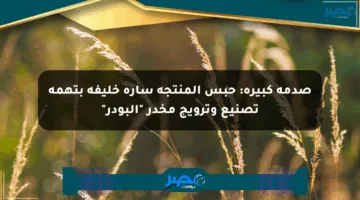 صدمة كبيرة: حبس المنتجة سارة خليفة بتهمة تصنيع وترويج مخدر “البودر”